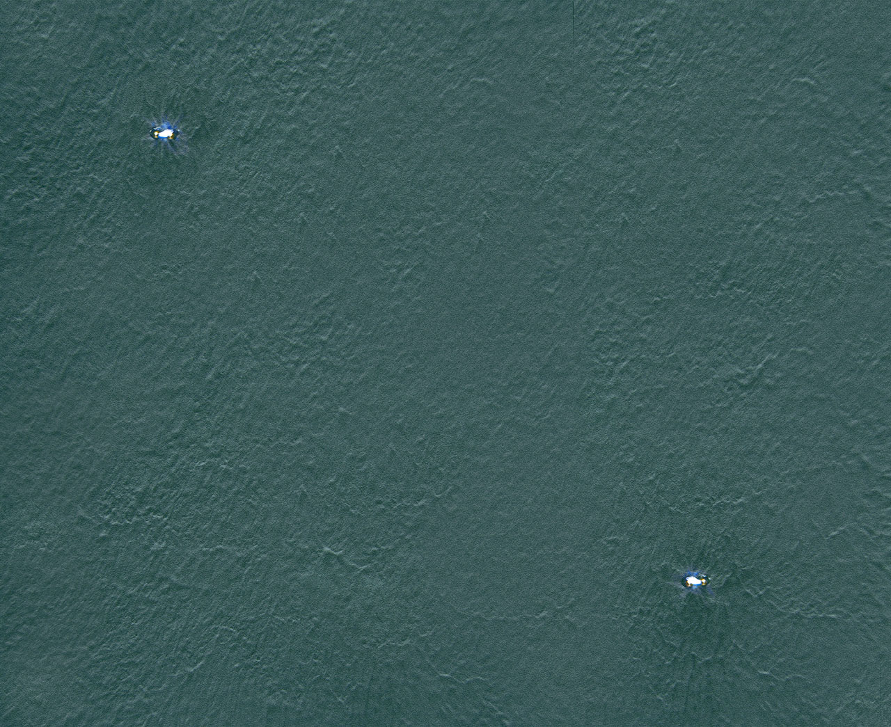 photo: uwe walter funken (installation)