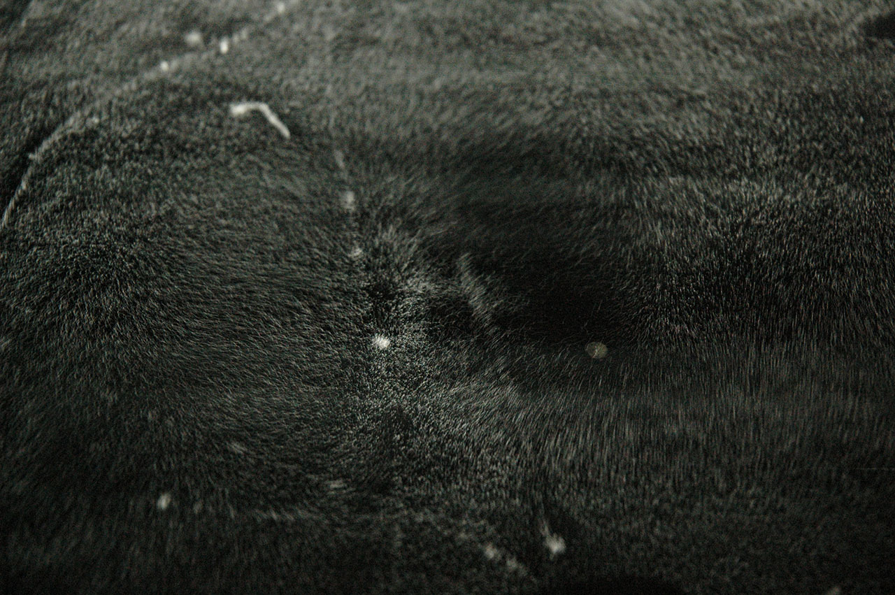 photo: carsten nicolai traces (series of 14)