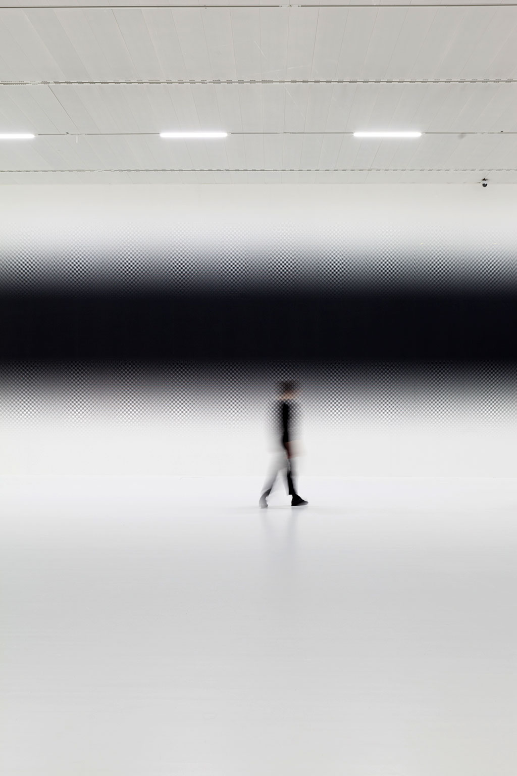 photo: julija stankeviciene raster gradient